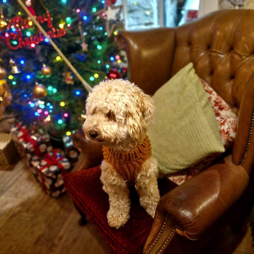 Dog-friendly pub in the Peak District