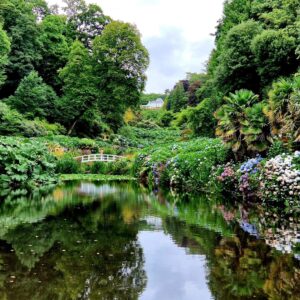 Dog-friendly Trebah Garden in Cornwall