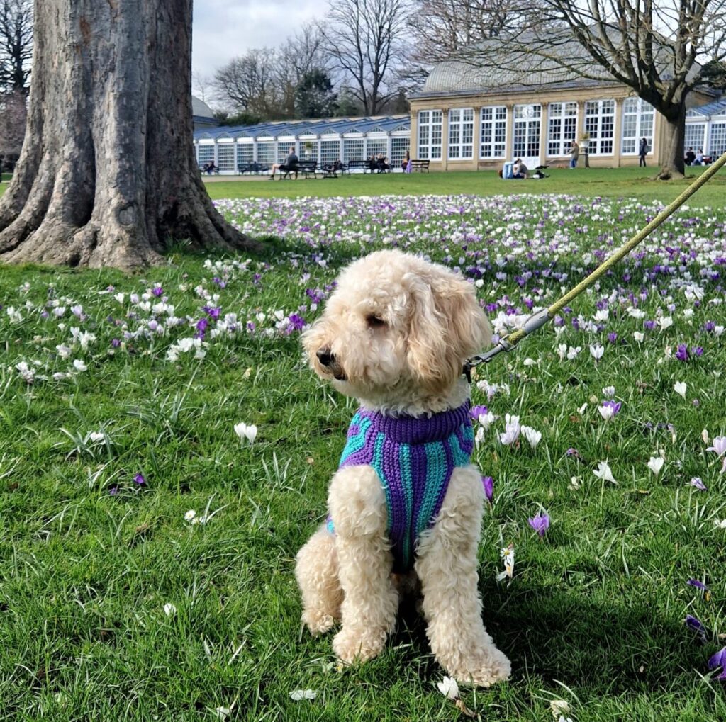 Sheffield Botanical Gardens