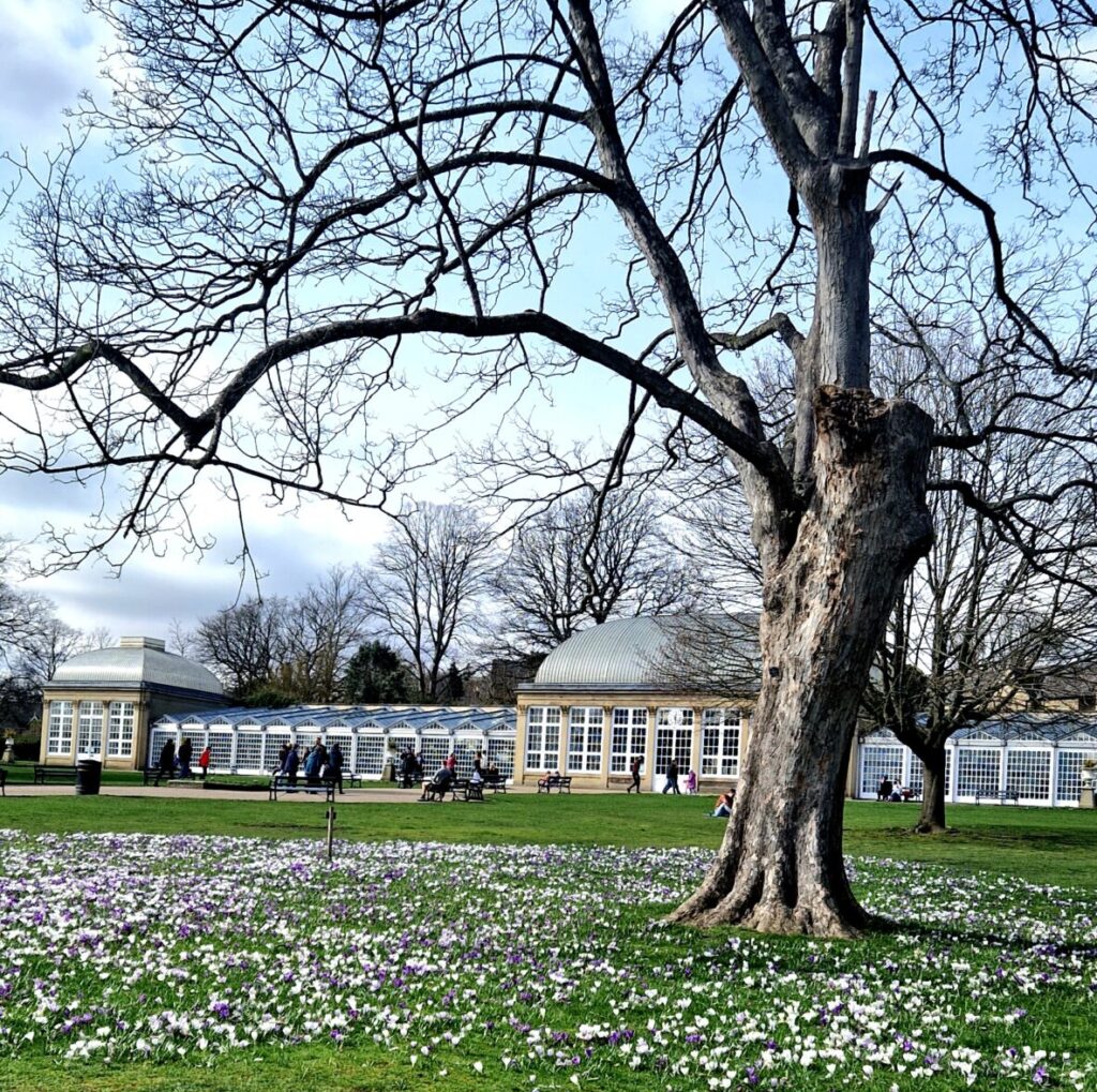 Sheffield Botanical Gardens