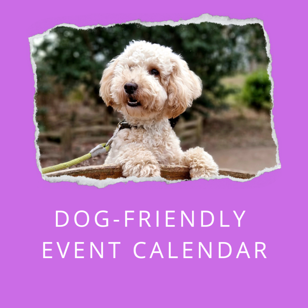 Dog-friendly event calendar