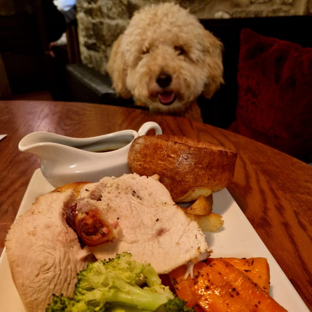 Dog-friendly pub in the Peak District