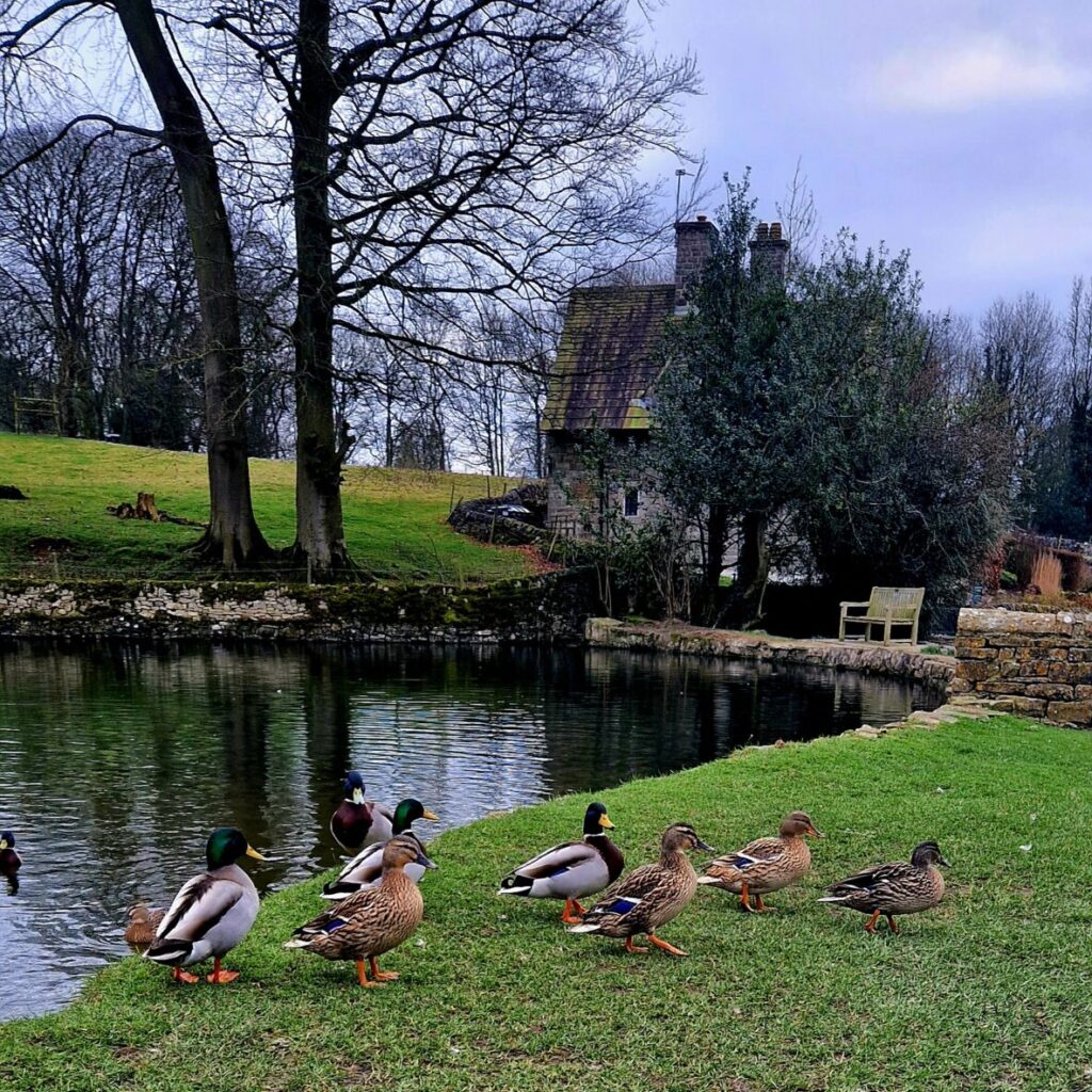 Tissington village in Derbyshire