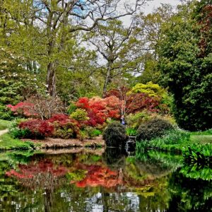 Exbury Gardens