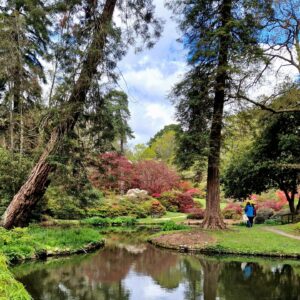 Exbury Gardens in Hampshire