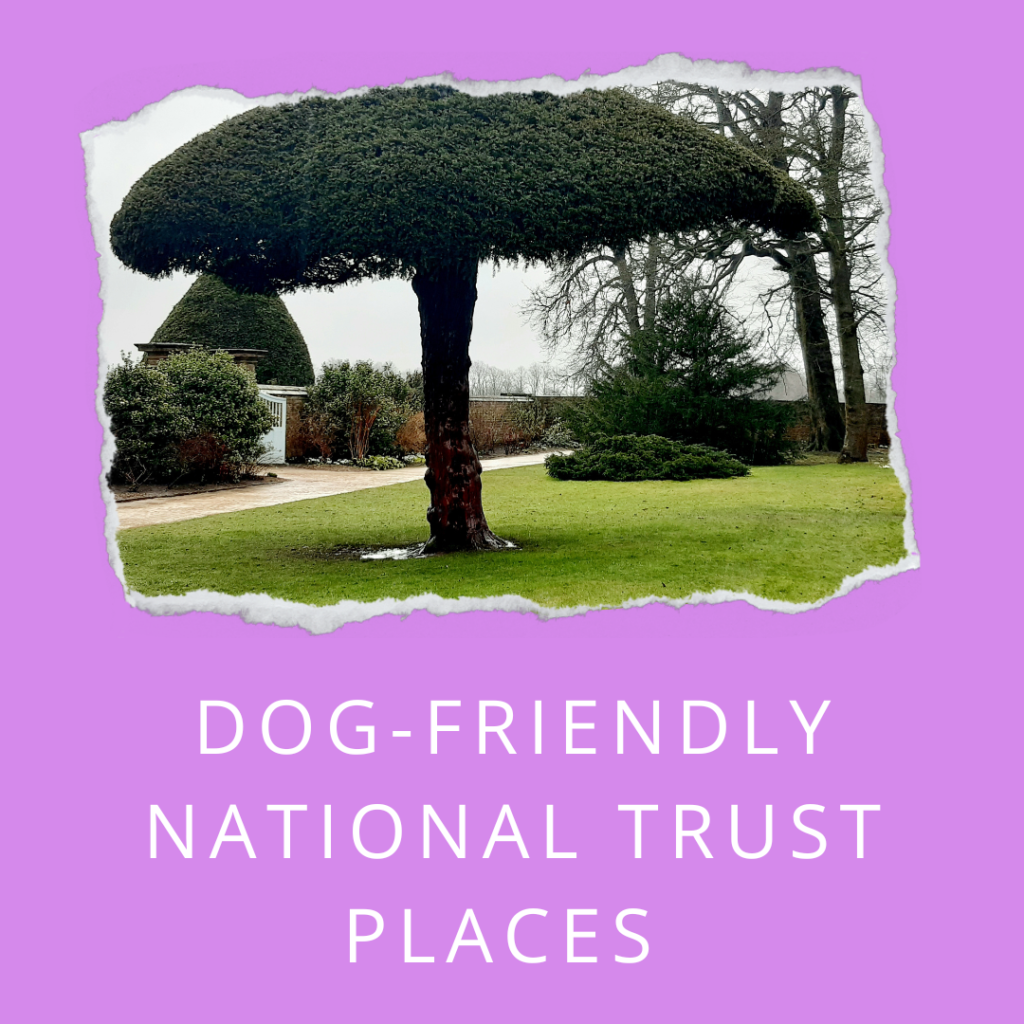 Dog-friendly National Trust Places