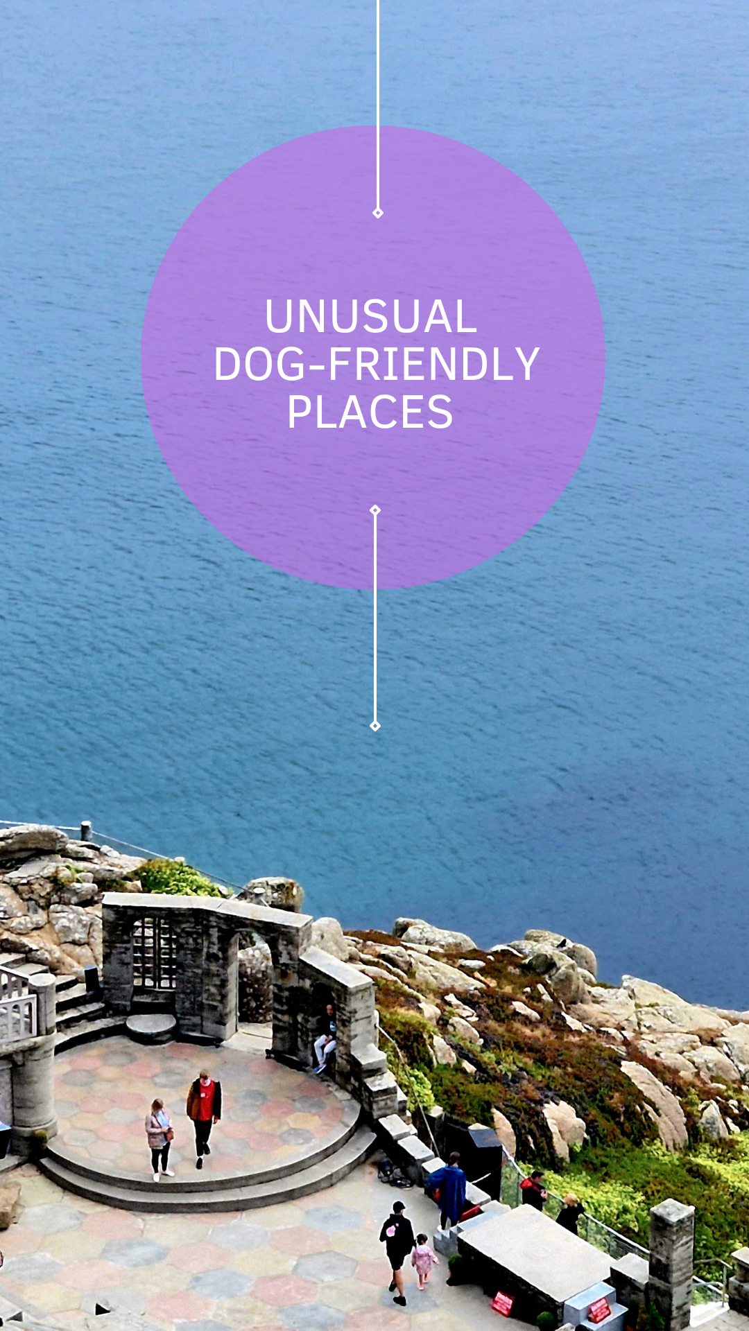 Unusual Dog-friendly Places