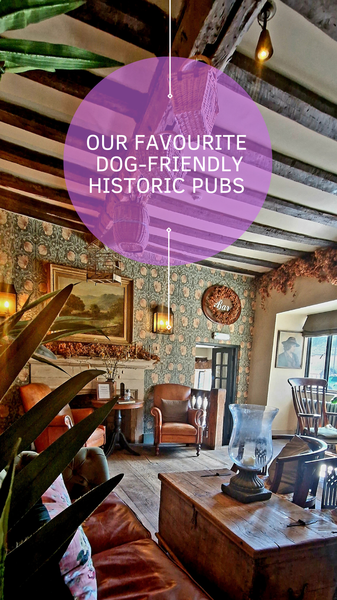 Our Favourite Dog-friendly Historic Pubs