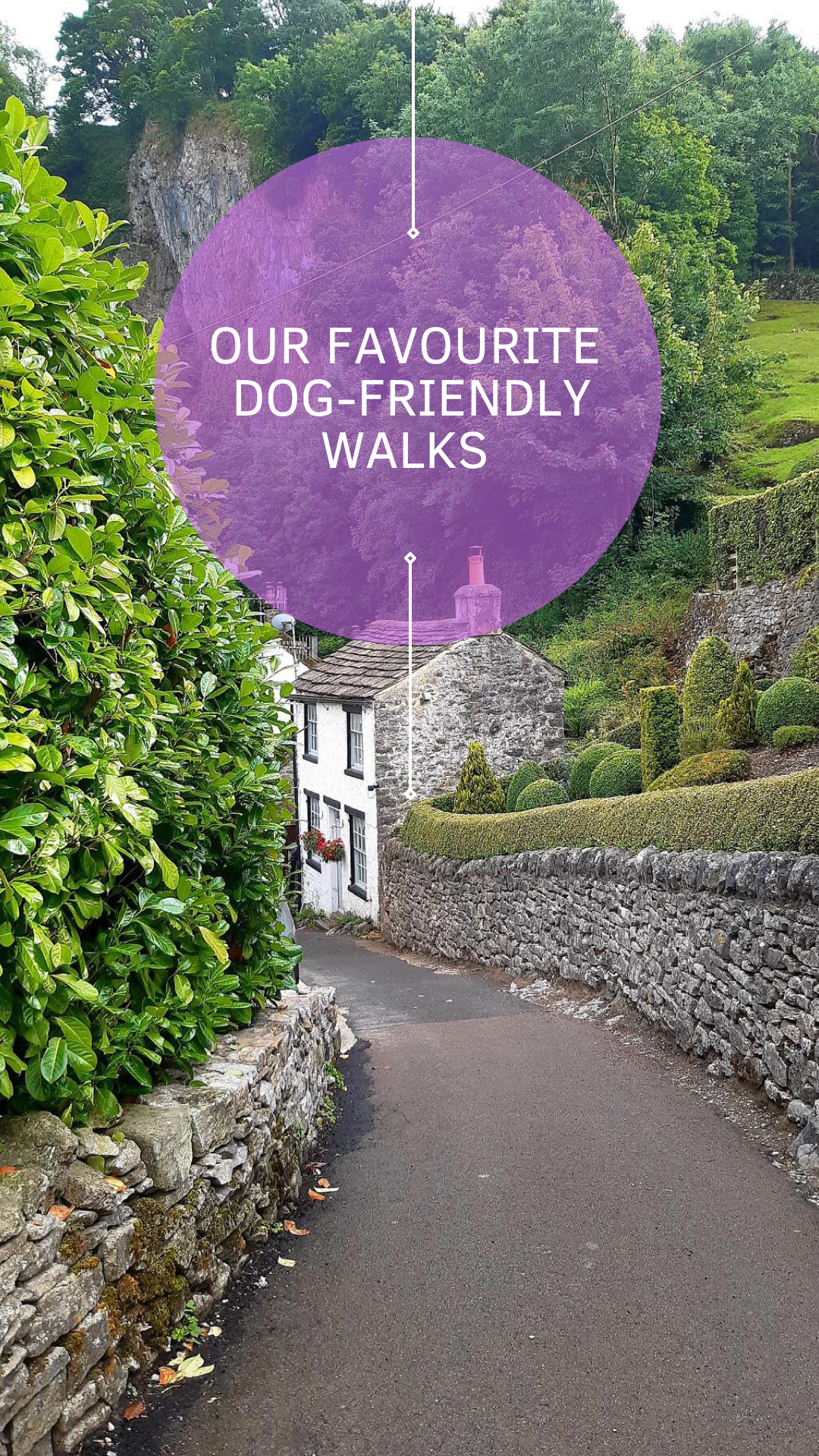 Our Favourite Dog-friendly Walks