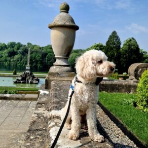 Dog-friendly Blenheim Palace