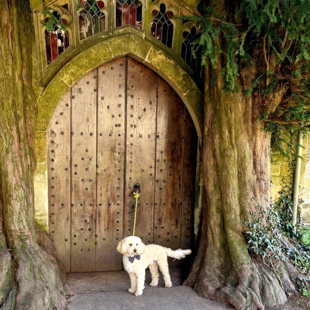 Hobbit door