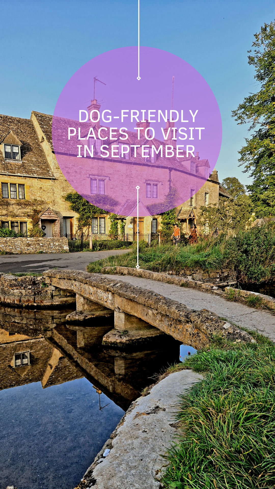 Dog-friendly places to visit in September 2024