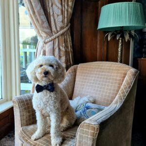 Dog-friendly hotel in the Lake District