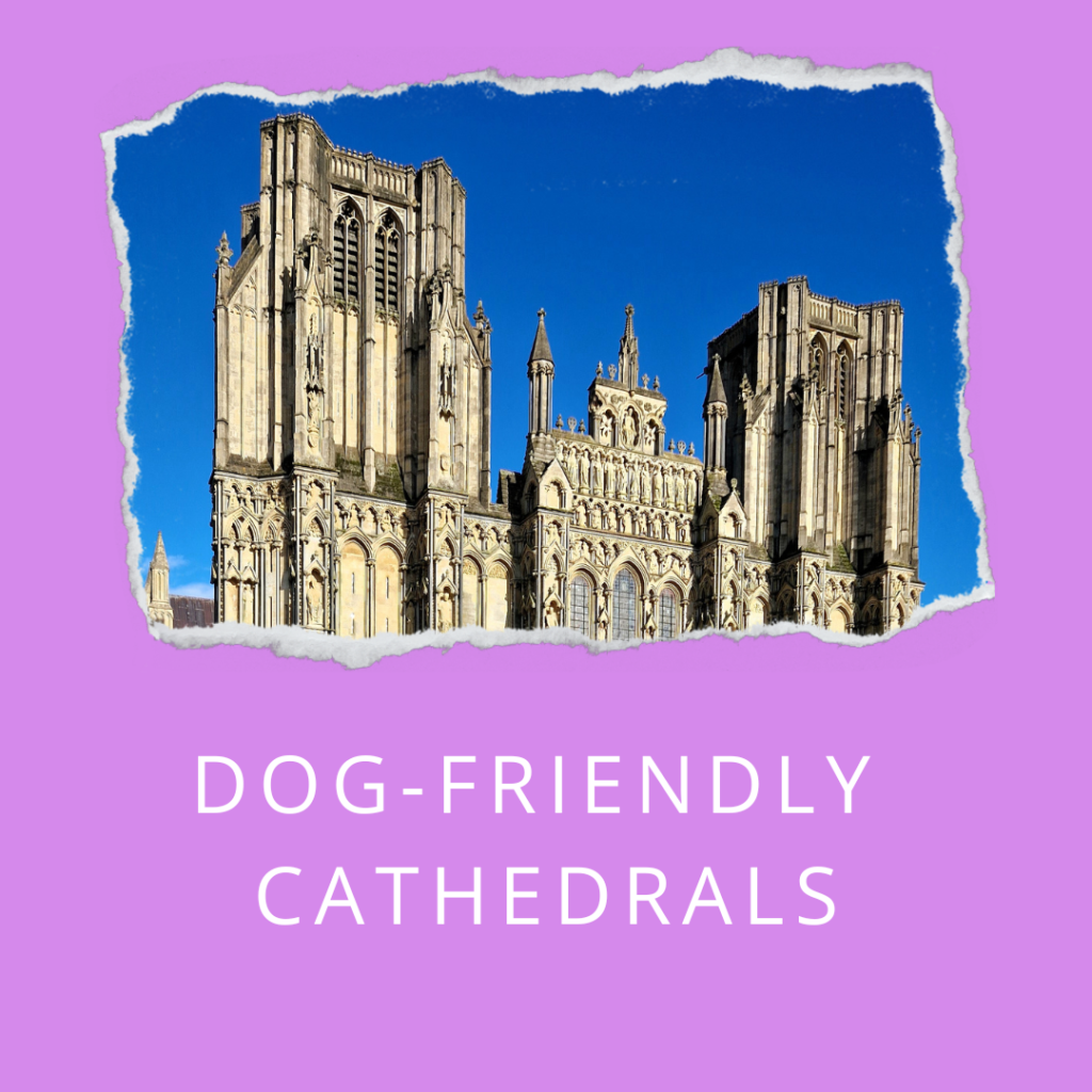 Dog-friendly cathedrals