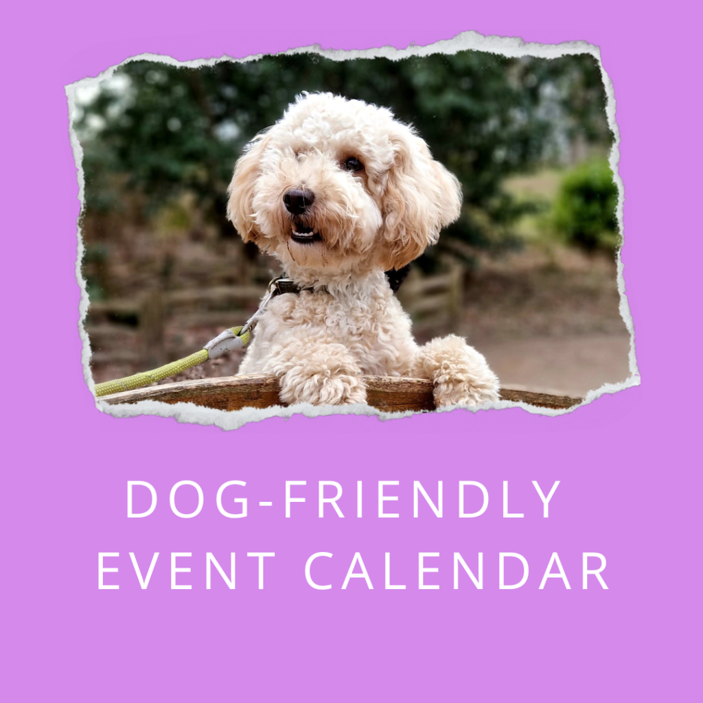 Dog-friendly event calendar