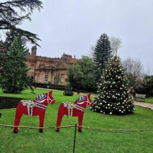 Dog-friendly news December 2025