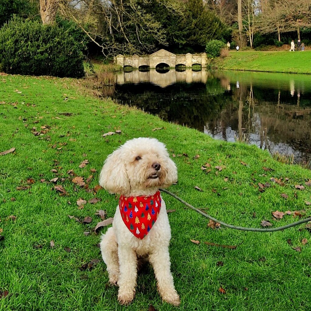 Dog-friendly Stowe Gardens in Buckinghamshire