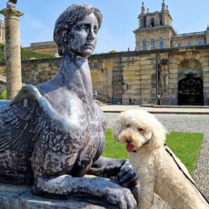 Dogs at Blenheim Palace