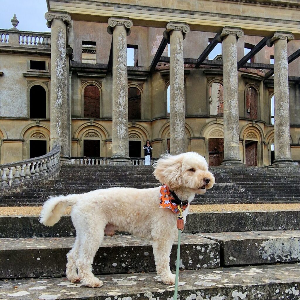 Dog-friendly Witley Court in Worcestershire