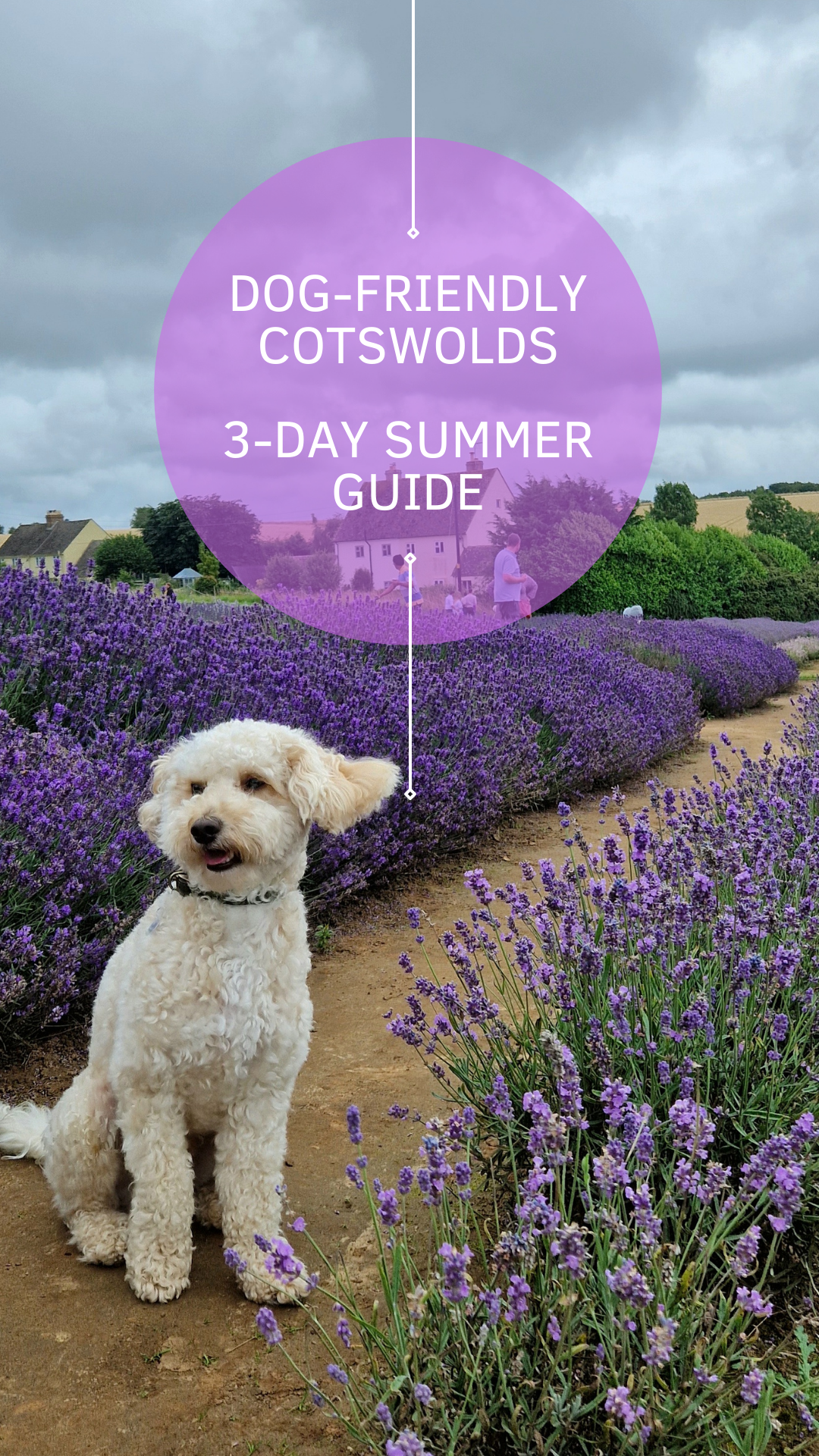 Dog-friendly Cotswolds