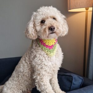 Dog-friendly hotel in the Cotswolds