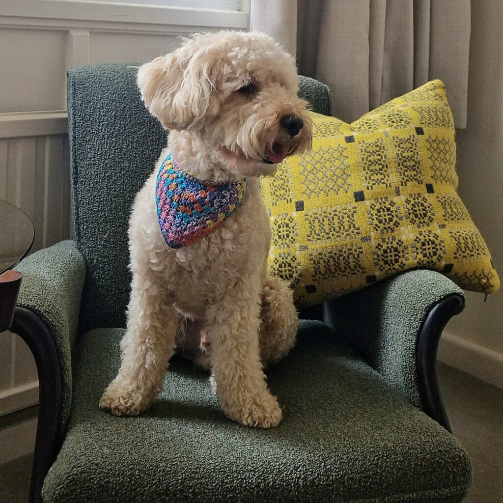 Dog-friendly hotel in Cornwall