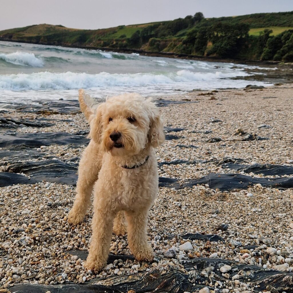 Hotel Meudon in Cornwall, Falmouth