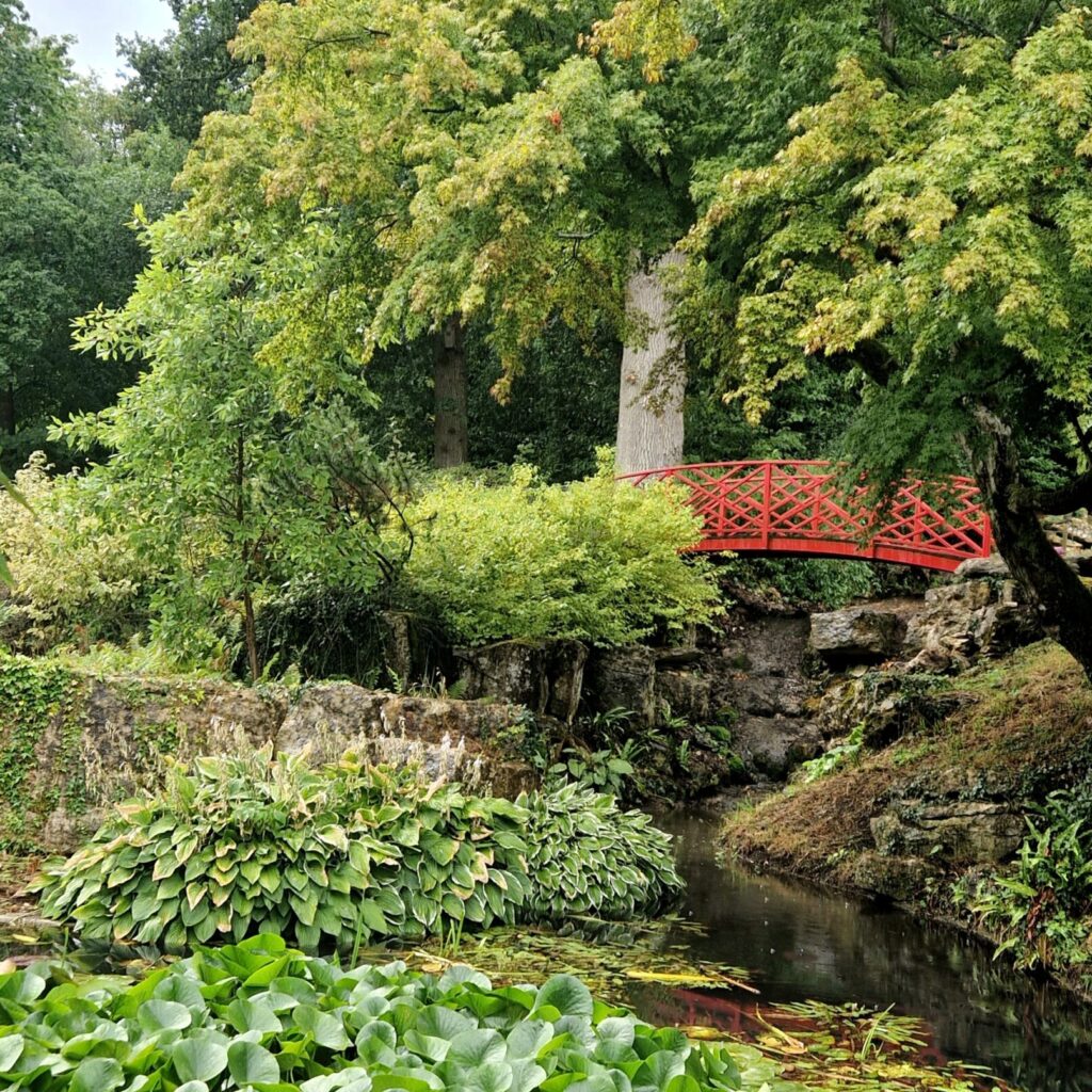 Batsford Arboretum in Gloucestershire