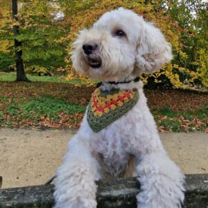 Make the New Forest more dog-friendly