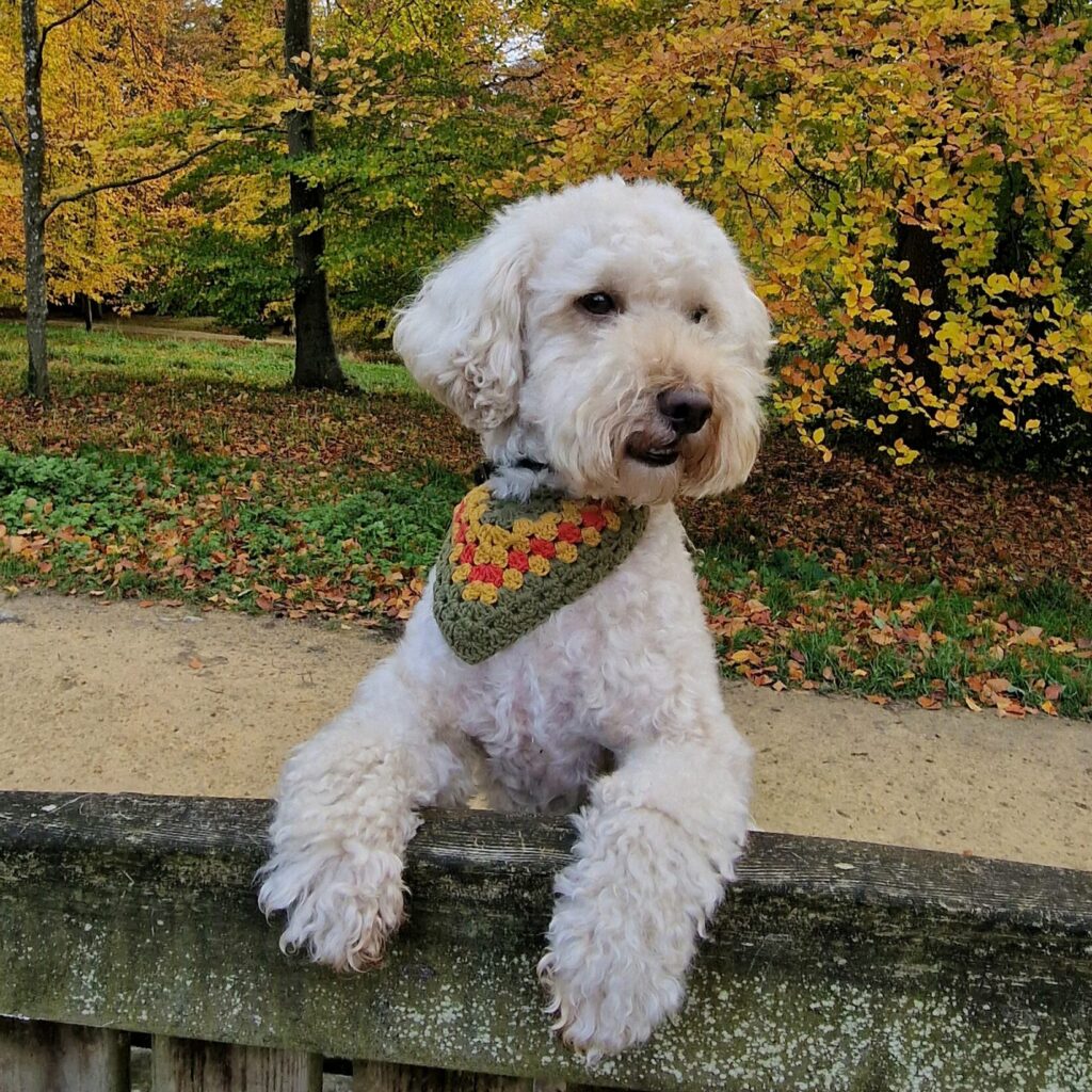 Dog-friendly Batsford Arboretum in Gloucestershire