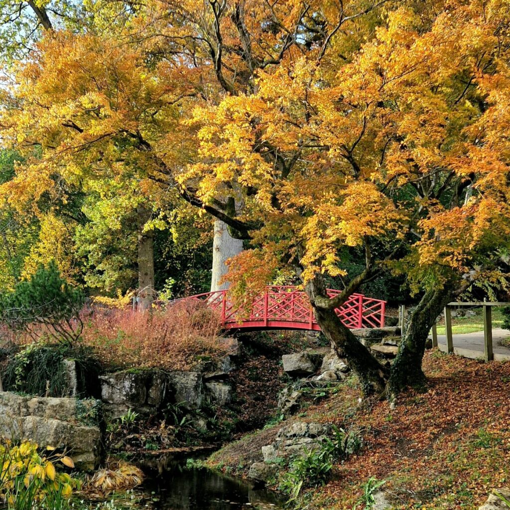 Batsford Arboretum in Gloucestershire