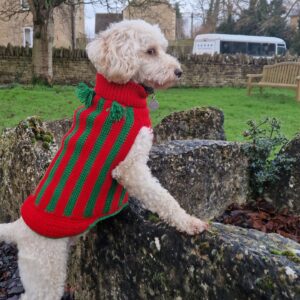 Christmas in the Cotswolds