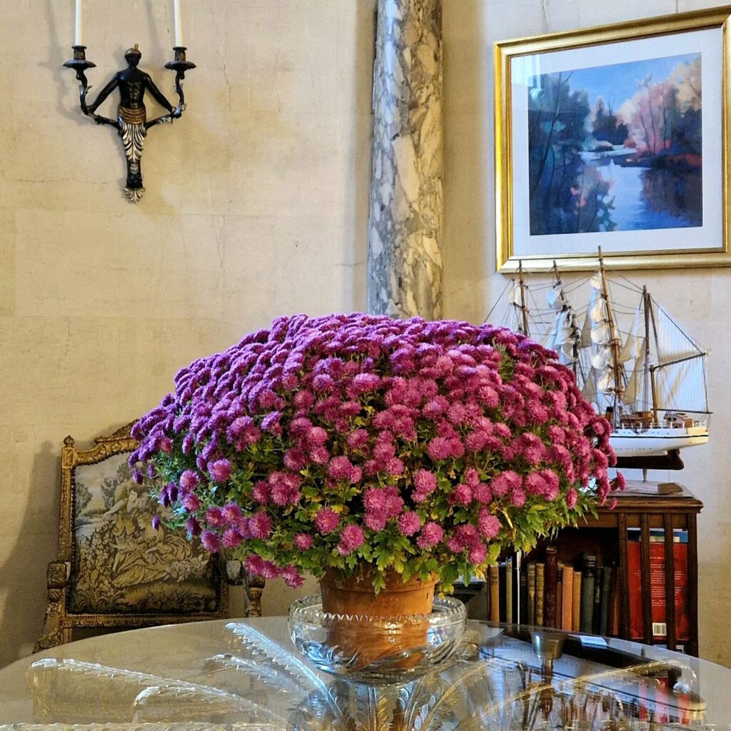 Grosvenor Villa in Bath, Somerset