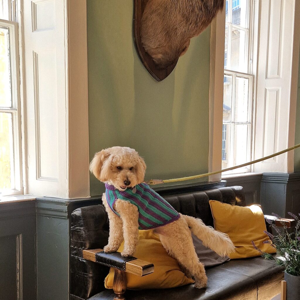 Dog-friendly pub in Bath, Somerset
