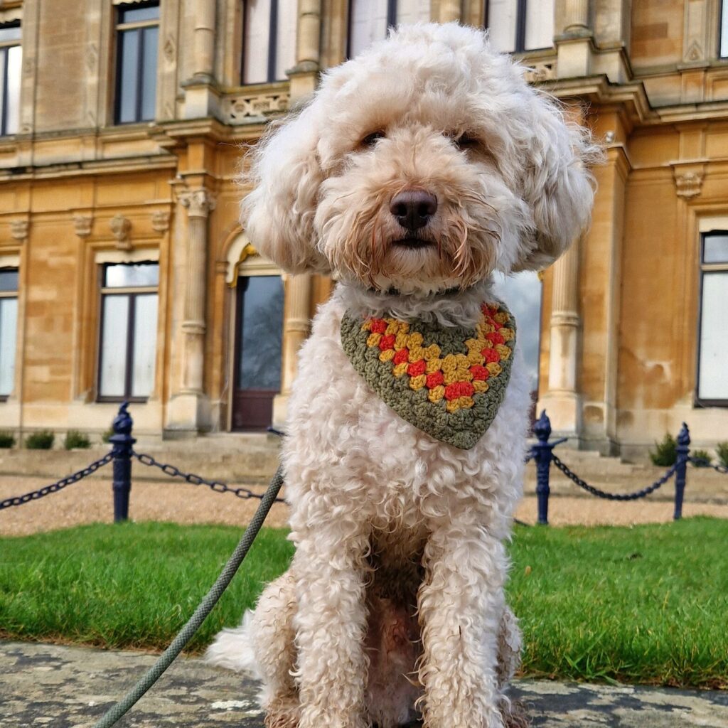 Dogs at Waddesdon Manor