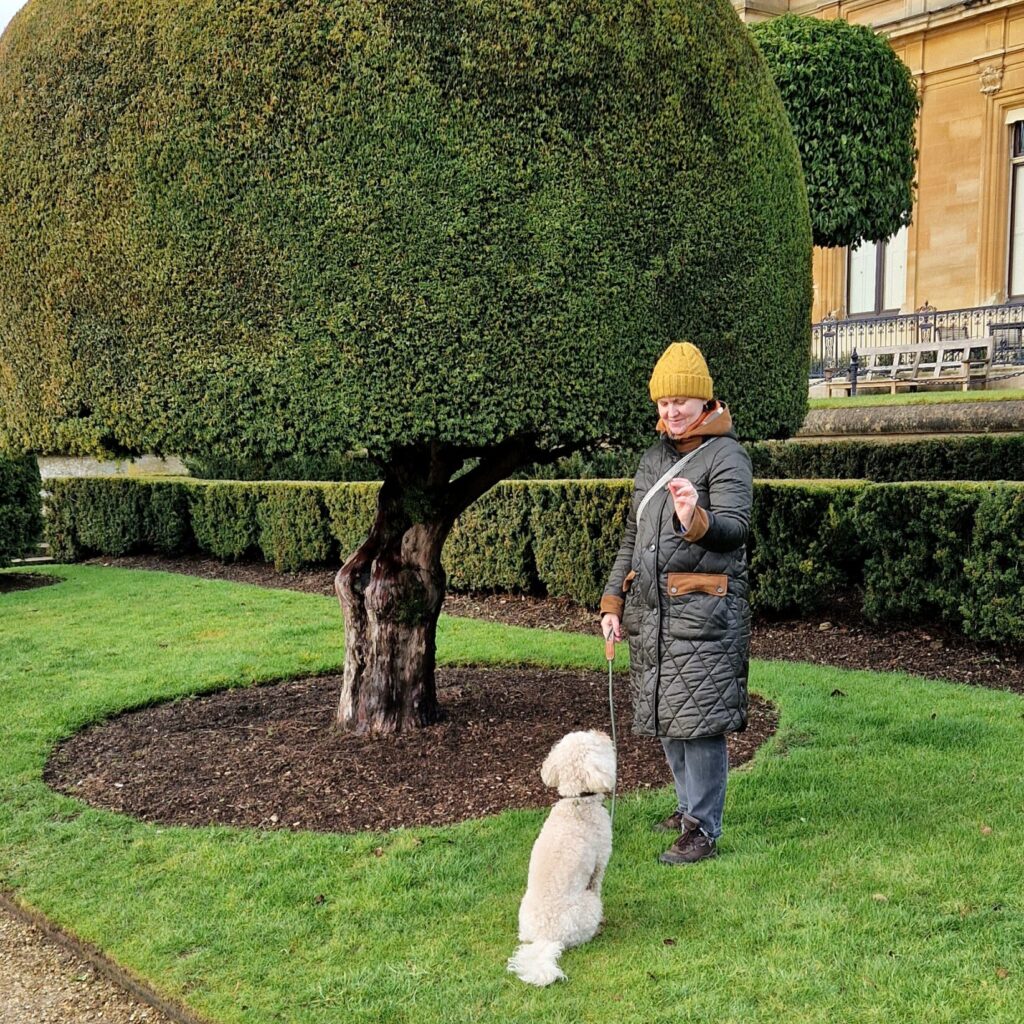 Dogs at Waddesdon Manor