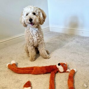 Britain’s naughtiest dog