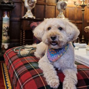Thornbury Castle in Gloucestershire