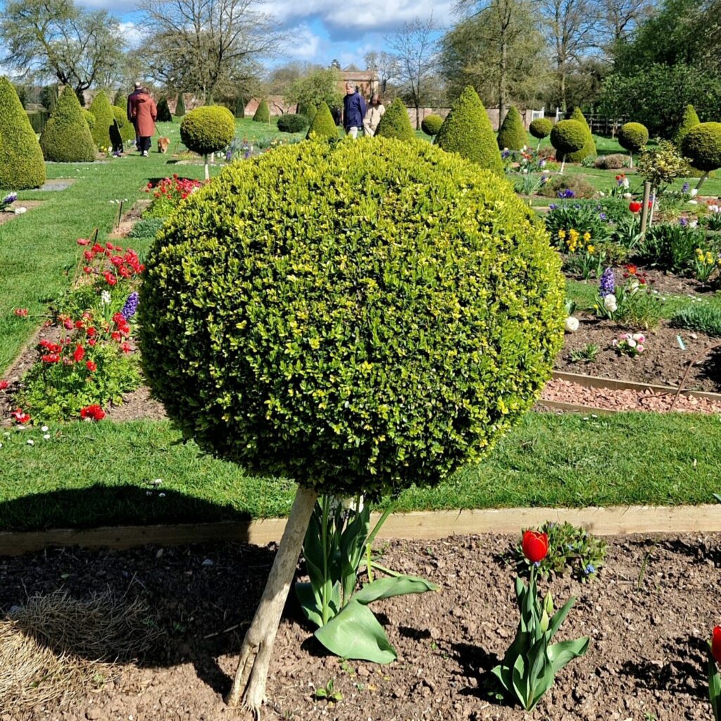 Westbury Court Garden in Gloucestershire