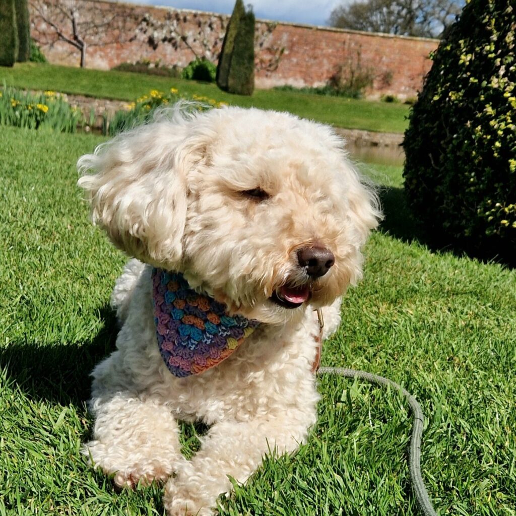 Westbury Court Garden in Gloucestershire