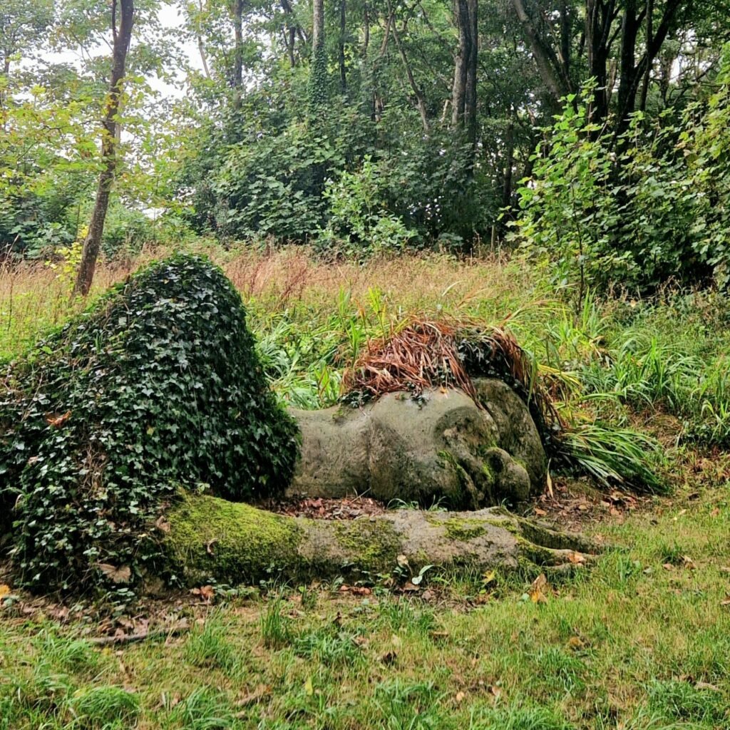 The Lost Gardens of Heligan in Cornwall