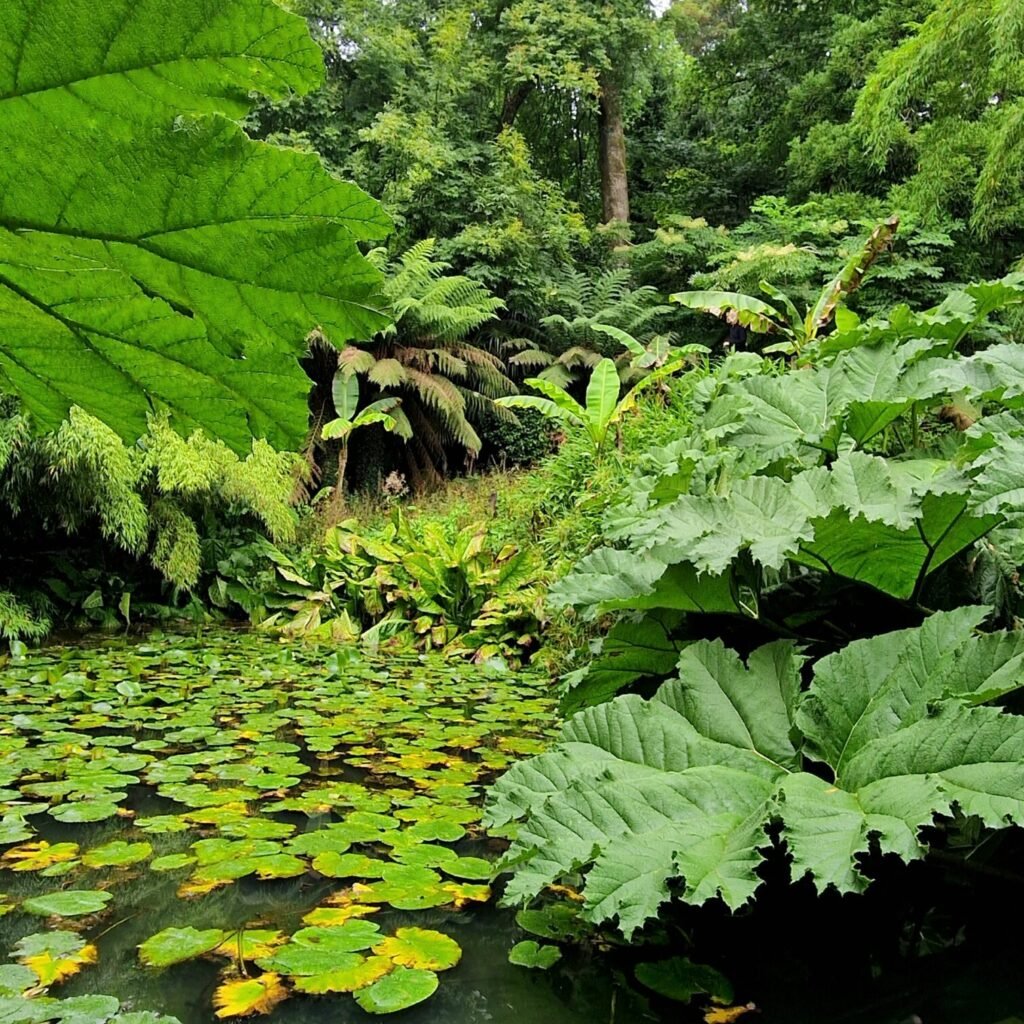 The Lost Gardens of Heligan in Cornwall