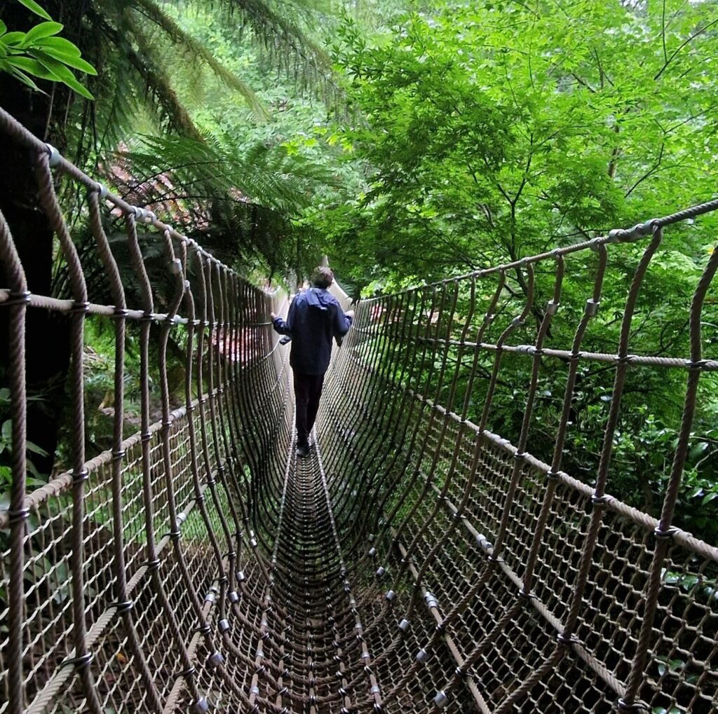 The Lost Gardens of Heligan in Cornwall