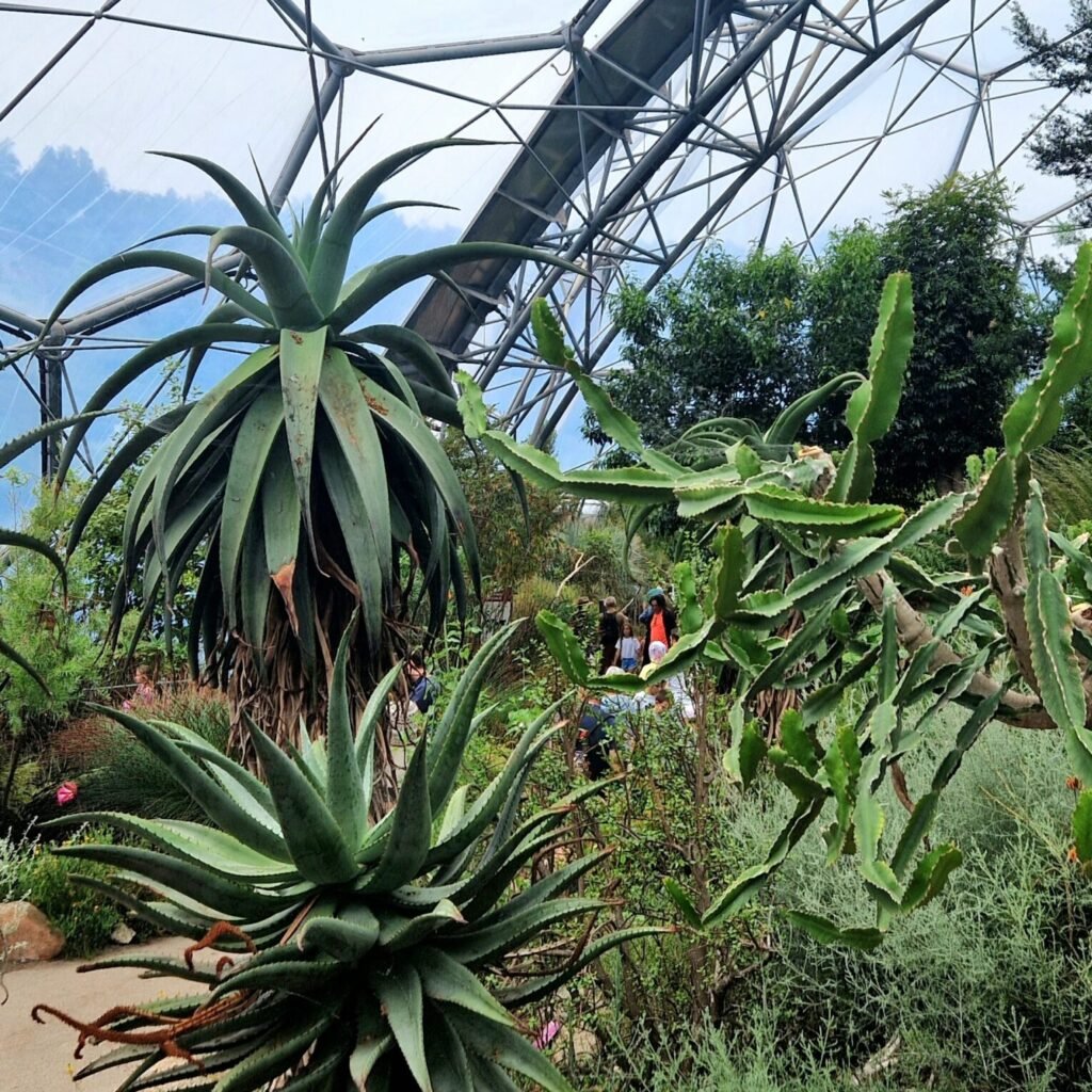 The Eden Project in Cornwall