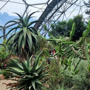 The Eden Project in Cornwall