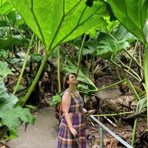 Trebah Garden in Cornwall