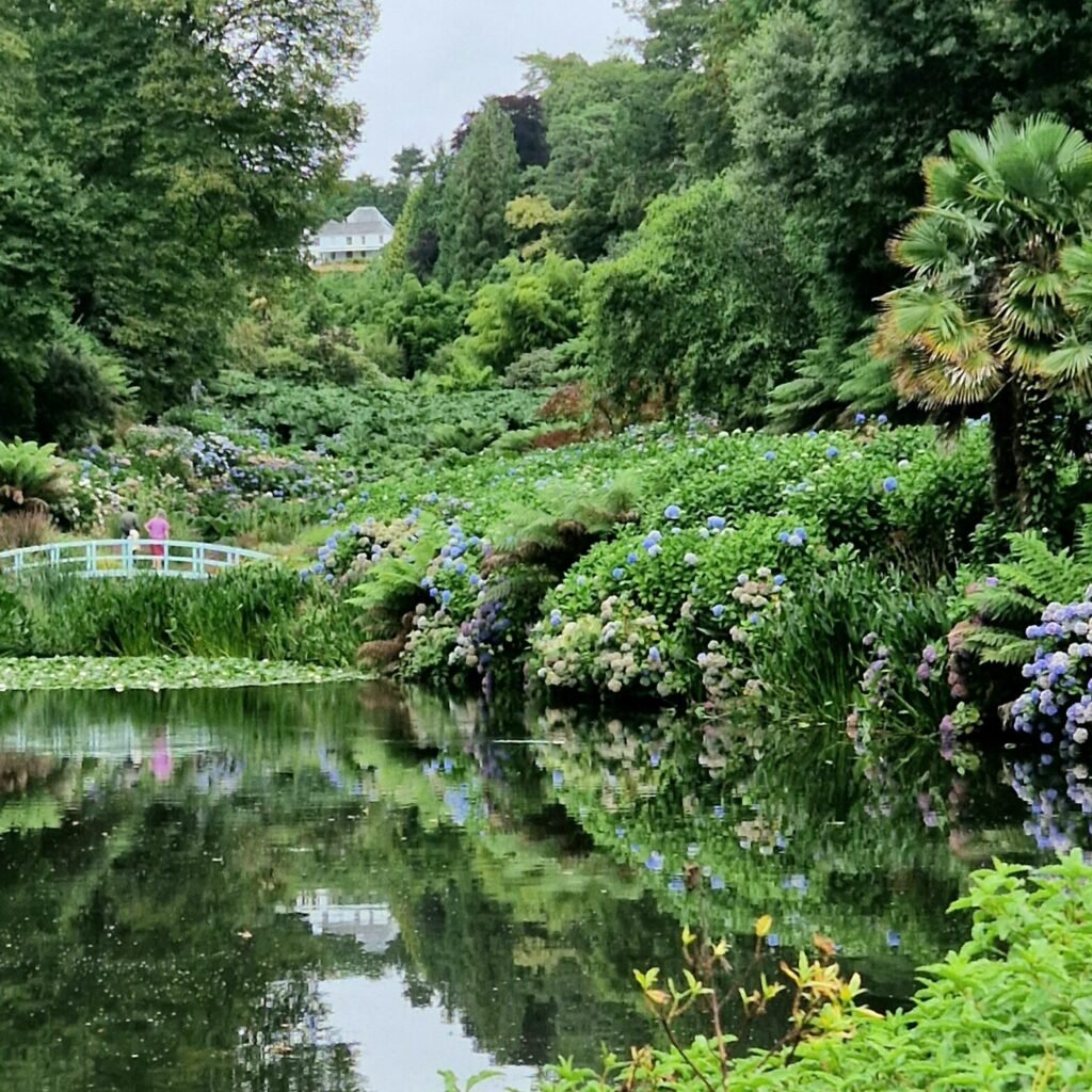 Trebah Garden in Cornwall