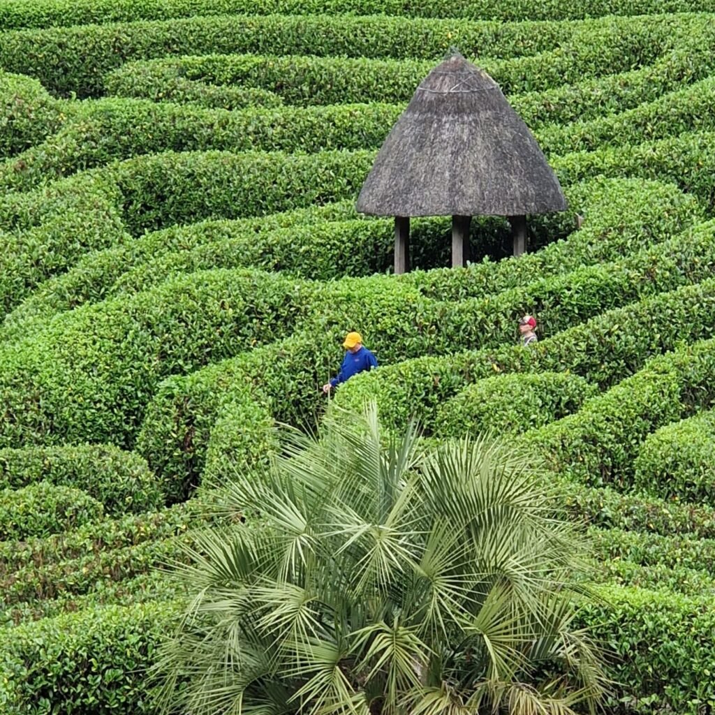 Dog-friendly gardens in Cornwall