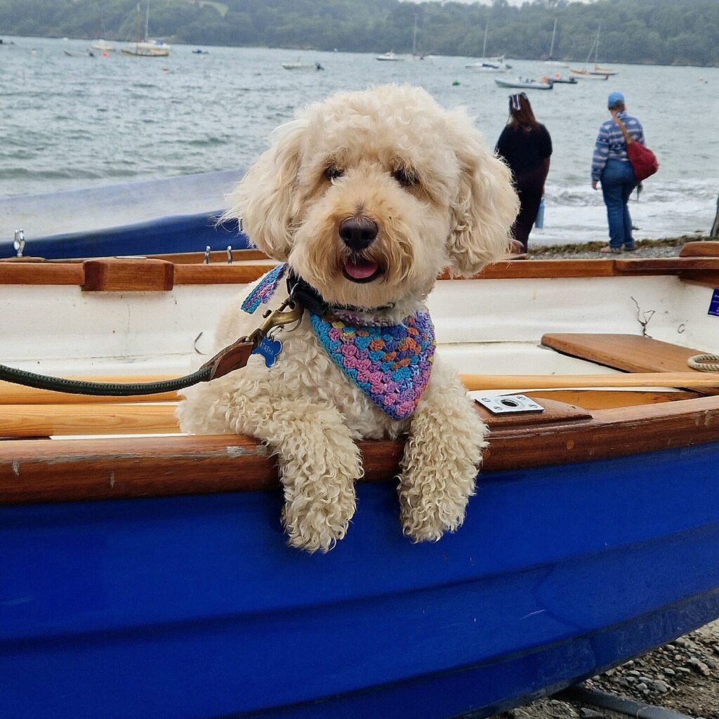 Dog-friendly Glendurgan Garden in Cornwall