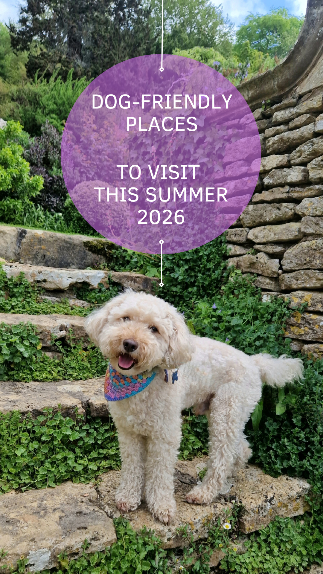 Dog-friendly places to visit this summer 2026